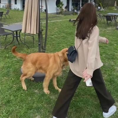 录取通知